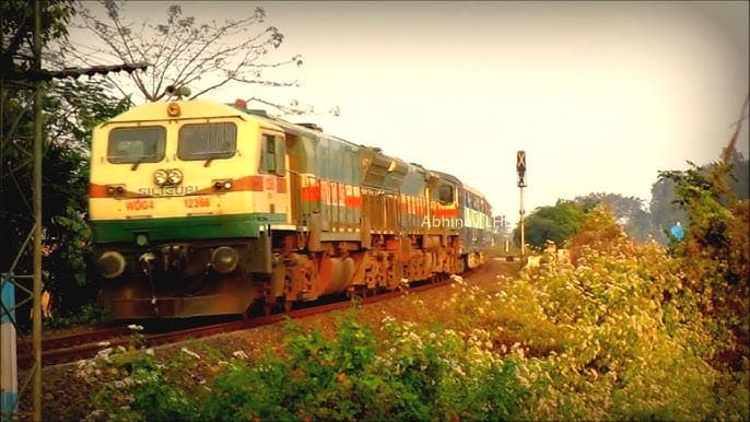 Indian Railways diesel locomotive pulling train through countryside with greenery and flowers